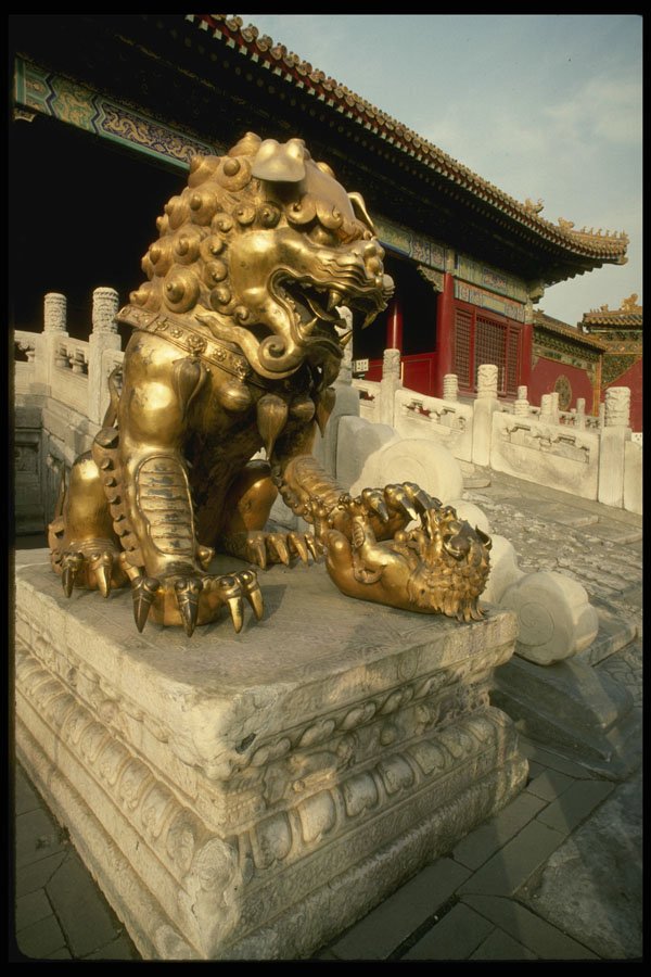 466007 Golden Bronze Lion Statue, Beijing A4 Photo Print