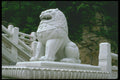 466023 Stone Lion On Popchusa, Korea A4 Photo Print