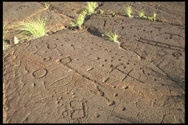 466041 Petroglyphs, Waikoloa Village, Hawaii A4 Photo Print