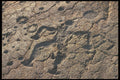 466057 Petroglyphs, Waikoloa Village, Hawaii A4 Photo Print