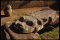 466095 San Augustin Alligator Sculpture, Columbia A4 Photo Print