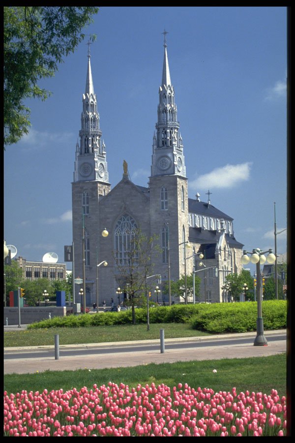 467048 Notre Dame Basilica, Ottawa, Ontario, Canada A4 Photo Print