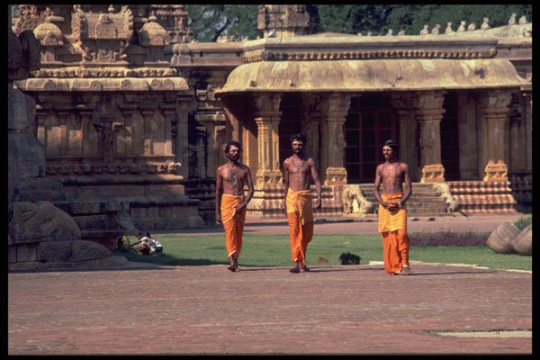 467083 Brahmins, Front Of Mandapam, Brihadishwara Temple, India A4 Photo Print