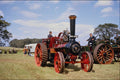 468008 7 NHP Charles Burrell Traction Engine Built At Thetford A4 Photo Print