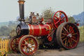 468076 1897, Charles Burrell 8 NHP Traction Engine Beaver  A4 Photo Print