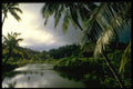 469003 A Scenic Inlet From Viti Levu, Fiji Islands A4 Photo Print