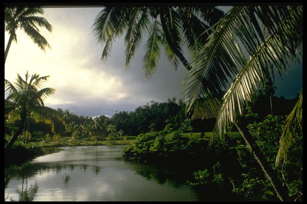 469003 A Scenic Inlet From Viti Levu, Fiji Islands A4 Photo Print