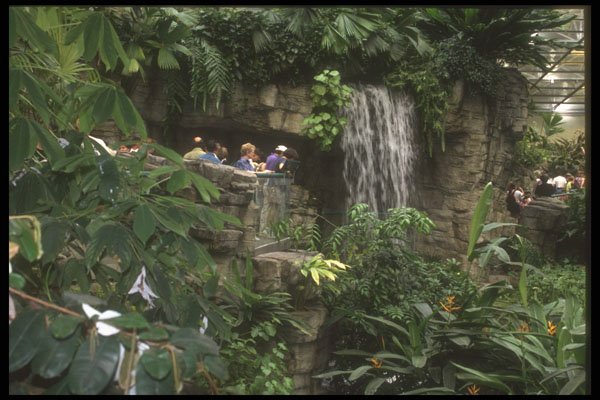 469010 Tropical Forest, The Biodome, Montreal, Canada A4 Photo Print