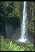 469020 Tropical Rainforest And Waterfall, Hawaii A4 Photo Print