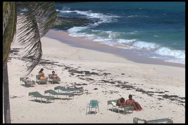 469023 Beach At The Hilton Hotel, Barbados A4 Photo Print