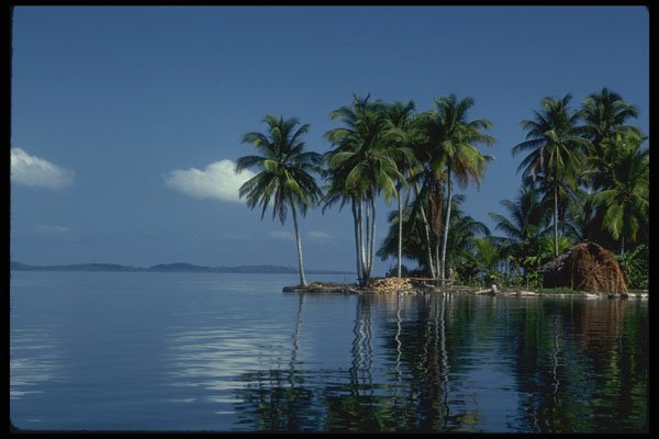 469029 Tropical Beach A4 Photo Print