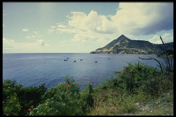 469030 Cote Du Diament, Martinique A4 Photo Print
