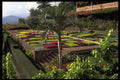 469047 Botanical Gardens, Funchal, Madeira A4 Photo Print