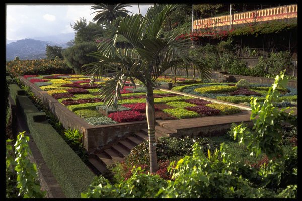 469047 Botanical Gardens, Funchal, Madeira A4 Photo Print