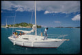 469063 Yachting, An Excursion From The Shore A4 Photo Print