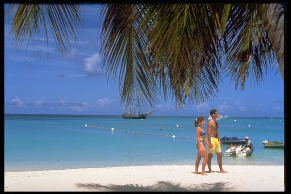 469072 Palm Beach, Aruba A4 Photo Print