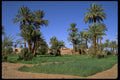 469084 Tamegroute, Oasis Village, Morocco A4 Photo Print