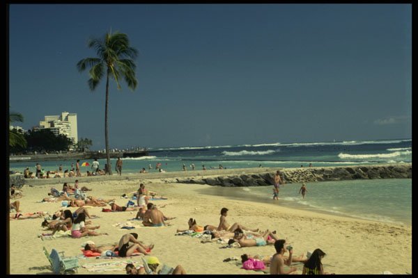469095 Waikiki Beach, Hawaii A4 Photo Print
