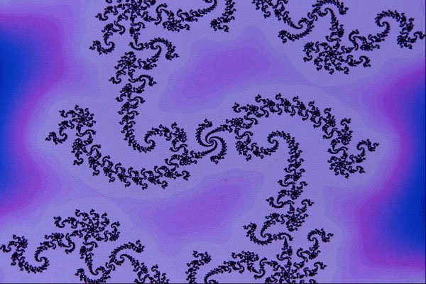 473008 Intricate A4 Photo Print