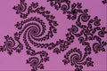 473012 Black Lace A4 Photo Print