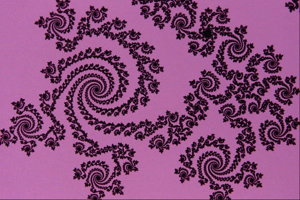 473012 Black Lace A4 Photo Print