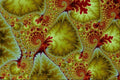 473029 Leaf Life A4 Photo Print