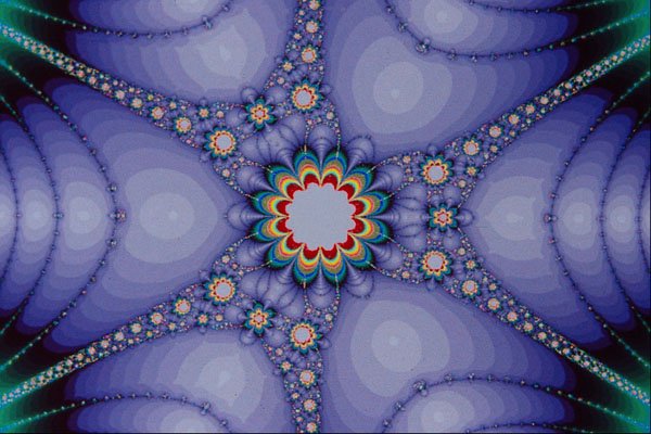 473035 Organism A4 Photo Print