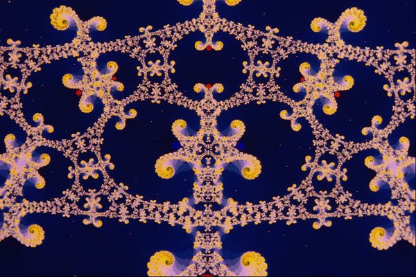 473041 Lace A4 Photo Print
