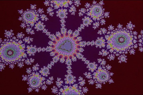 473054 Doily A4 Photo Print
