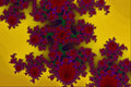 473061 Fuchsia Explosion A4 Photo Print