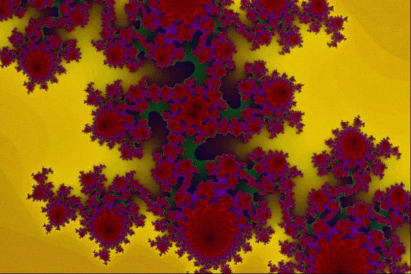 473061 Fuchsia Explosion A4 Photo Print