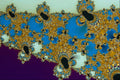 473070 Brocade Border A4 Photo Print