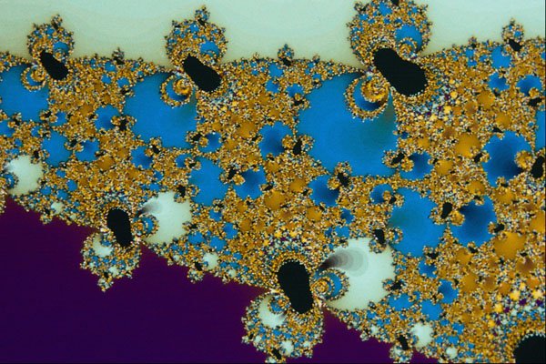 473070 Brocade Border A4 Photo Print