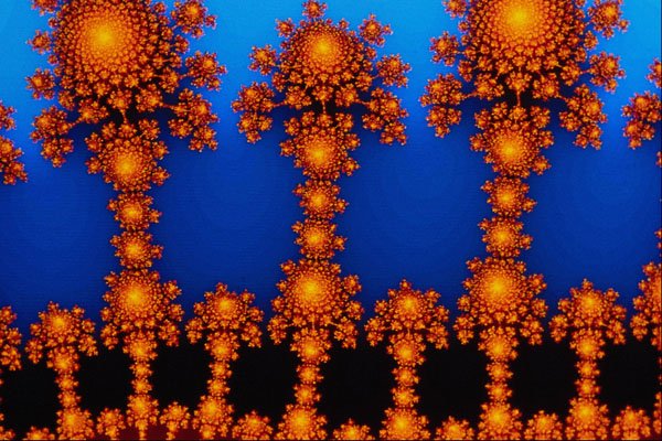 473087 Sunflowers A4 Photo Print
