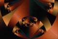473093 Shield A4 Photo Print