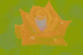 476050 Grandiflora Rose 'Love' A4 Photo Print