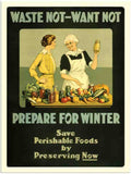 477 waste not want not war poster 2 Vintage Advert A4 Photo Print