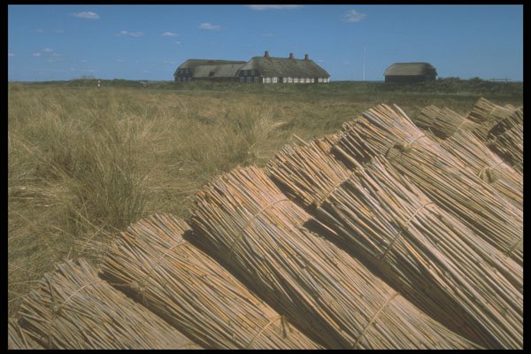 477000 Straw For Thatch Roofs, Denmark A4 Photo Print