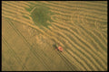 477002 Harvesting, Denmark A4 Photo Print
