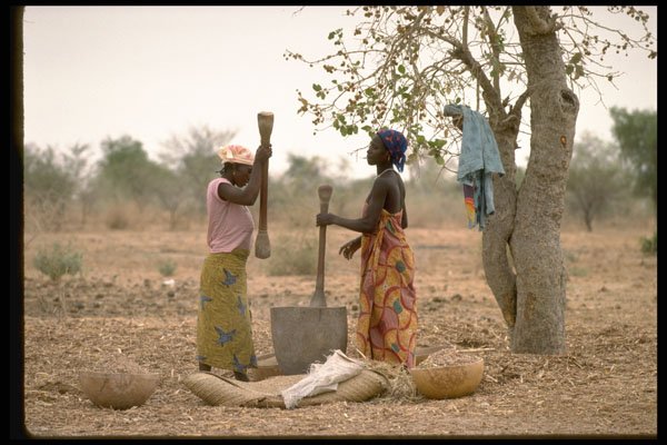 477004 Pounding Grain, Gumel, Nigeria A4 Photo Print