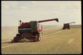 477016 Wheat Combines In Tandem A4 Photo Print