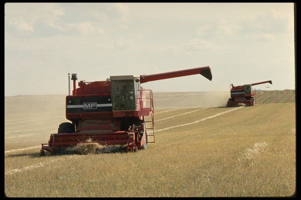477016 Wheat Combines In Tandem A4 Photo Print