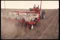 477017 Seeding A4 Photo Print