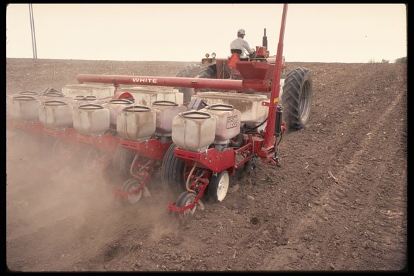 477017 Seeding A4 Photo Print