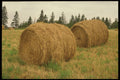 477028 Bales Of Hay A4 Photo Print