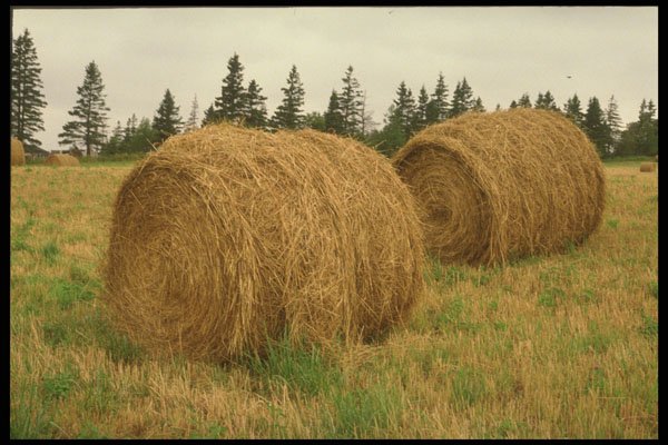477028 Bales Of Hay A4 Photo Print