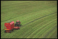 477031 Tractor In Grain Field A4 Photo Print