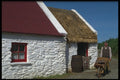 477032 Life In The Country, Ireland A4 Photo Print