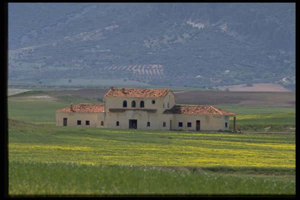 477037 Farm Near Jaen, Andalusia A4 Photo Print