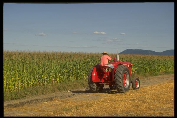 477042 Driving An Antique Tractor A4 Photo Print
